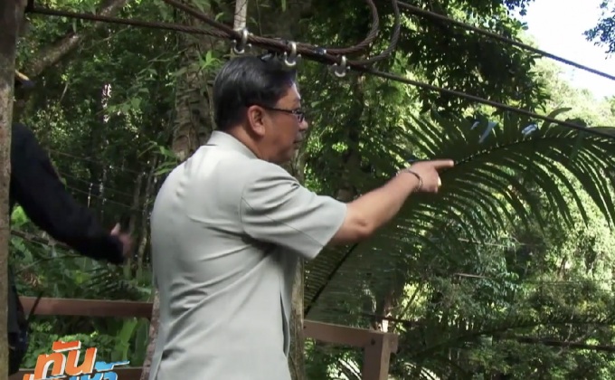 ป่าไม้ลุยจับ ซิปไลน์ รุกป่าสงวนฯ จ.ภูเก็ต