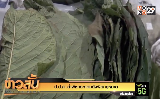 ป.ป.ส.ย้ำ พืชกระท่อมยังผิดกฎหมาย