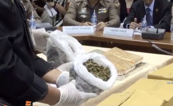 ปส.มอบกัญชา 100 กก. ส่งวิจัยสกัดทำยา