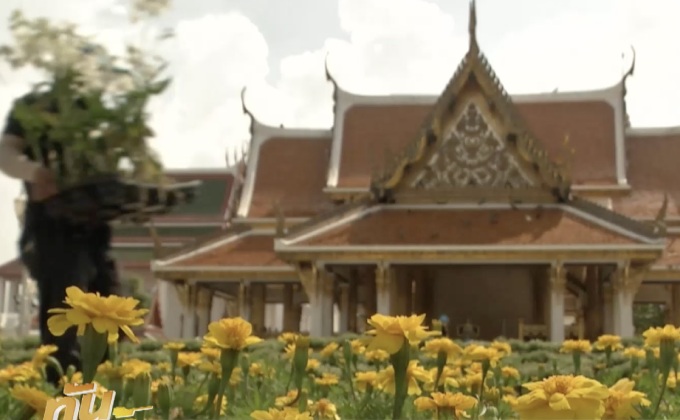 ประดับดอกไม้งดงามทั้งถนนราชดำเนิน