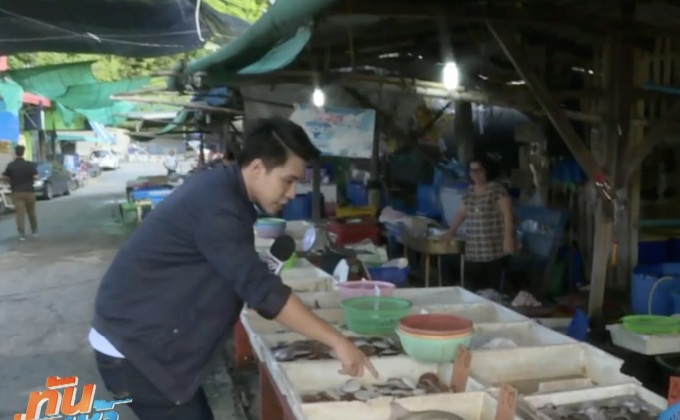 อาหารทะเลสดๆ ที่สะพานปลาแหลมฉบัง จ.ชลบุรี