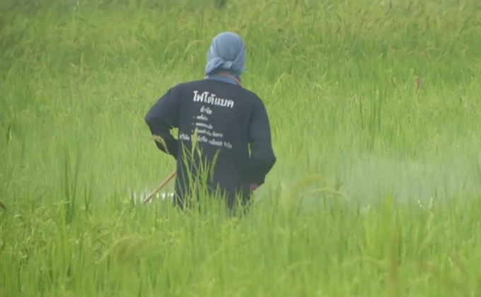 เปิดทางเลือกทดแทน 3 สารพิษ