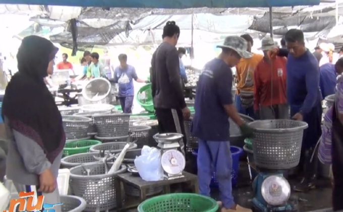 “พรก.ต่างด้าว” เริ่มกระทบแรงงานประมง