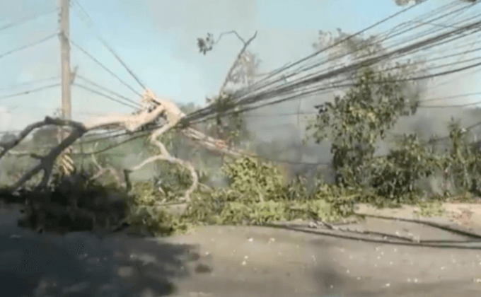 กิ่งต้นยางอายุ 100 ปีหักทับสายไฟลุกไหม้ จ.ชลบุรี