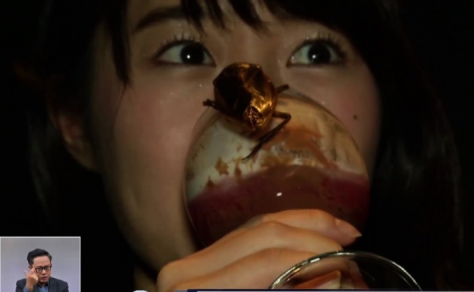 ญี่ปุ่นกินแมลงฉลองวาเลนไทน์