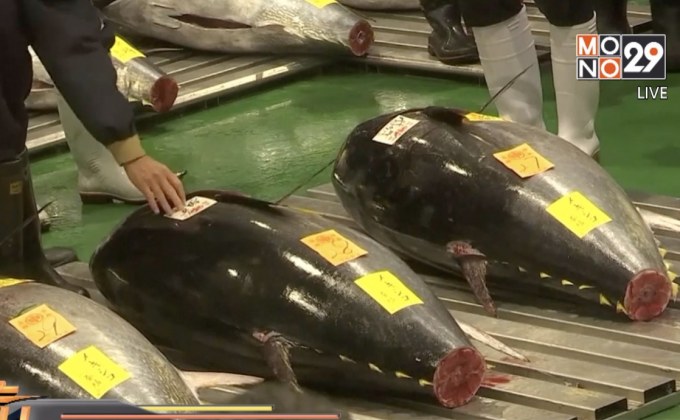 ญี่ปุ่นประมูลปลาทูน่าทุบสถิติเกือบ 100 ล้านบาท