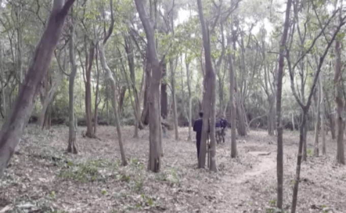 เตรียมพิธีบวงสรวงตัดไม้จันทน์หอมวันนี้