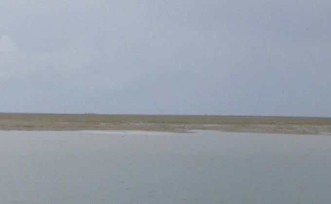 หญ้าทะเลเสียหายนับพันไร่ เกาะลิบง จ.ตรัง