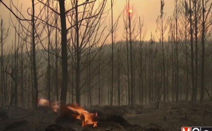 สถานการณ์ไฟป่าในชิลี