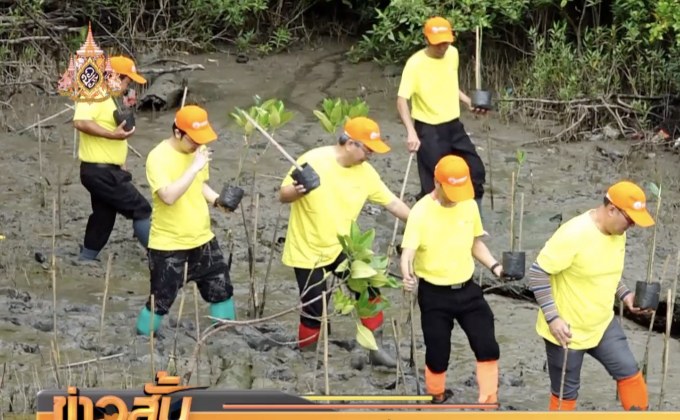 กฟน.ปลูกป่าชายเลนเฉลิมพระเกียรติฯ ร.10