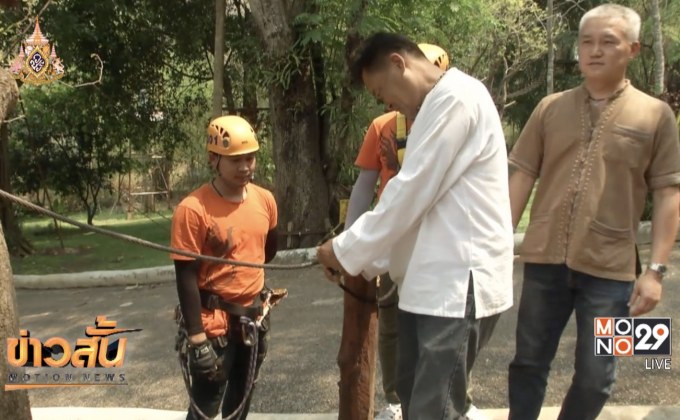 ตรวจสอบซิปไลน์ 15 แห่ง จ.เชียงใหม่