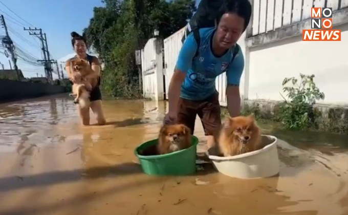 “ชาวป่าแดด” รีบอพยพหนีมวลน้ำจากตัวเมือง “ผู้ป่วย-คนแก่-เด็ก-สัตว์เลี้ยง” เพียบ