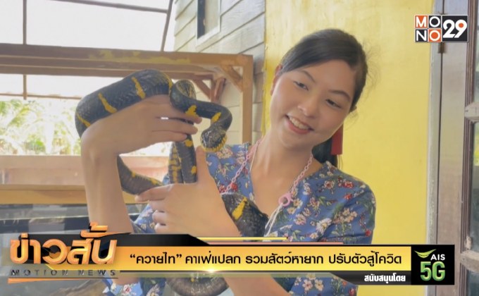 “ควายไท” คาเฟ่แปลก รวมสัตว์หายาก ปรับตัวสู้โควิด