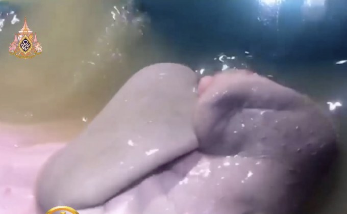 “มาเรียม”พะยูนน้อยส่งเสียงดูดครีบอ้อนขอกินนม