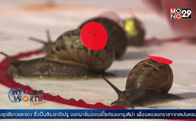 แข่งขันหอยทากชิงแชมป์โลกในอังกฤษ