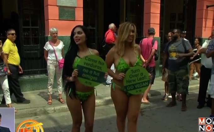 PETA รณรงค์การกินผักในคิวบา