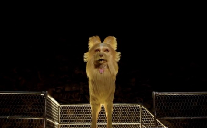 Isle of Dogs แรงต่อเนื่อง ขึ้นอันดับ 5 หนังอินดี้ทำเงินสูงสุดปี 2018