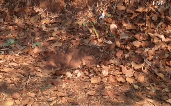 แม่สารภาพฆ่าทารกฝังดิน