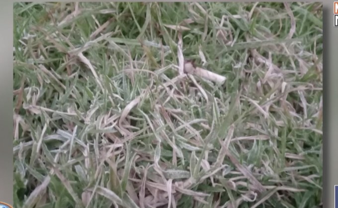 หนาวฟิน อินทนนท์ อวดโฉมเหมยขาบ