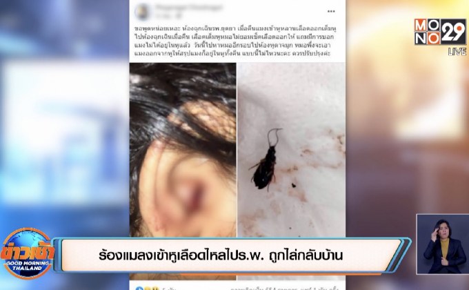 ร้องแมลงเข้าหูเลือดไหลไป ร.พ. ถูกไล่กลับบ้าน