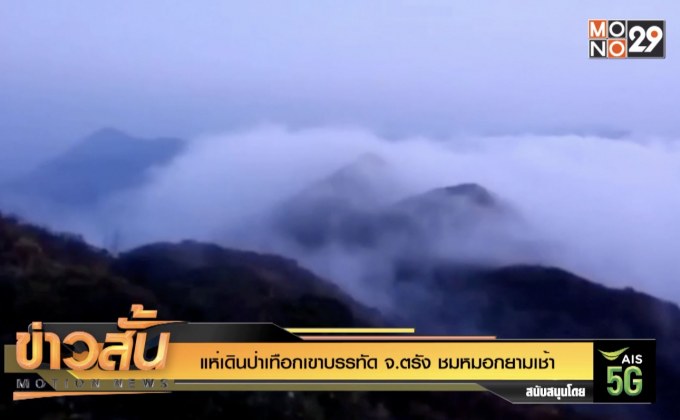 แห่เดินป่าเทือกเขาบรรทัด จ.ตรัง ชมหมอกยามเช้า