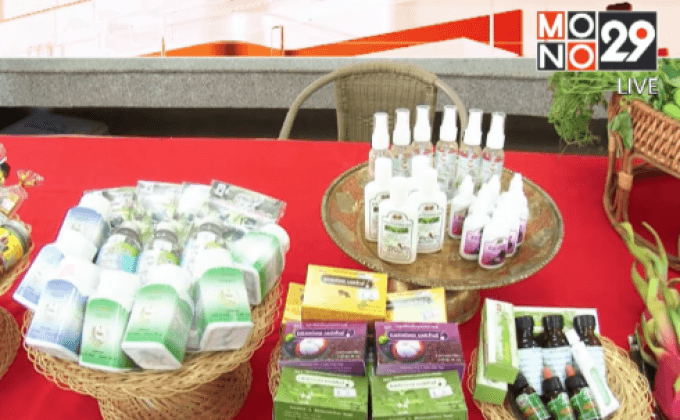 แพทย์แผนไทยแนะกดจุดลดง่วง