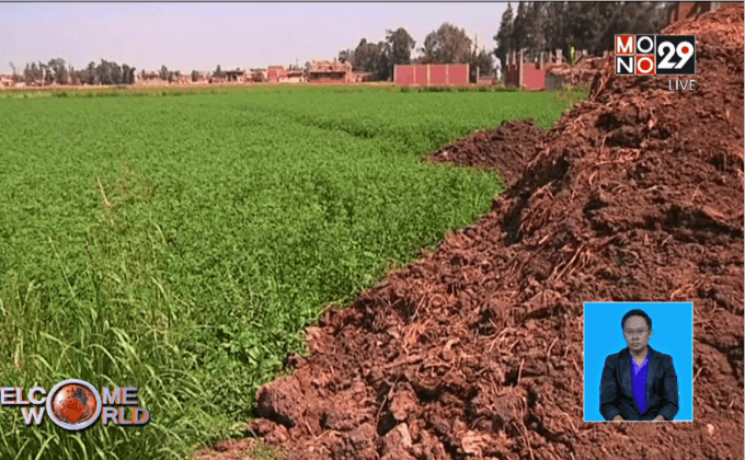 พลังงานชีวภาพในอียิปต์