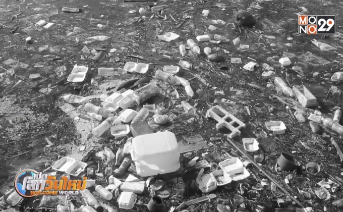 UNDP จำลองเหตุการณ์ No Plastic Yes We Can