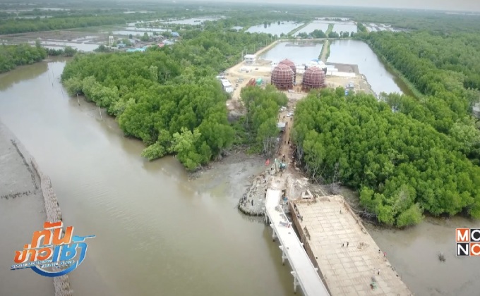 ชุดฉลามขาวยึดท่าเรือรุกป่าชายเลน