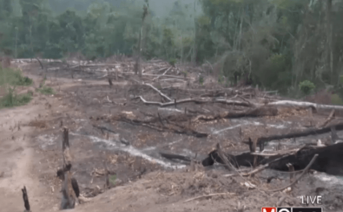 ไฟลุกลามป่าอเมซอนในเปรู