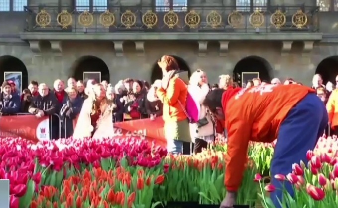 วันทิวลิปแห่งชาติในเนเธอร์แลนด์