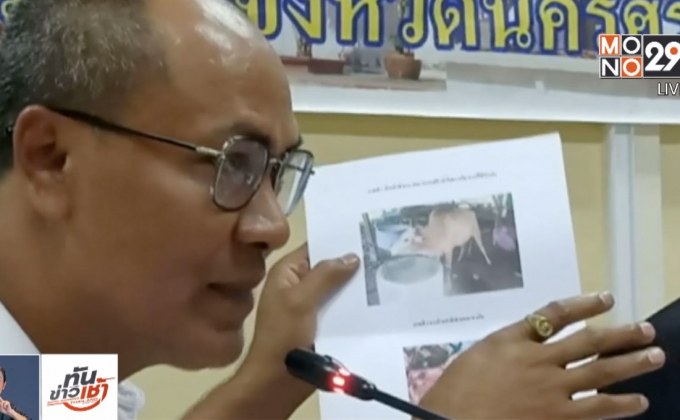 แจ้งความเอาผิดเจ้าของวัวบ้า ไม่เชื่อคำเตือนปศุสัตว์