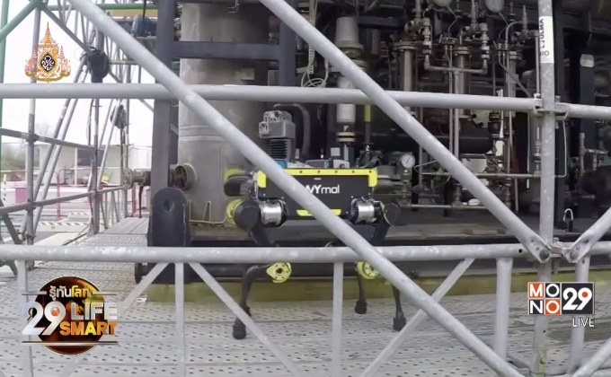 29 LifeSmart : Innovation Update 09-04-62