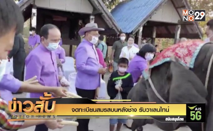 จดทะเบียนสมรสบนหลังช้าง รับวาเลนไทน์