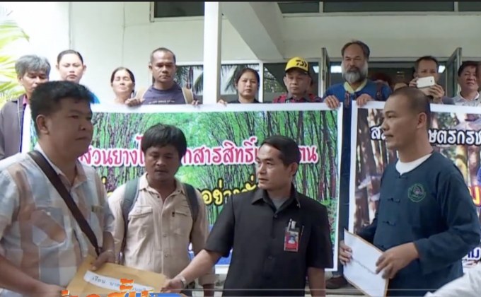 ชาวสวนยางร้องนายกฯ แก้ปัญหาราคาตกต่ำ