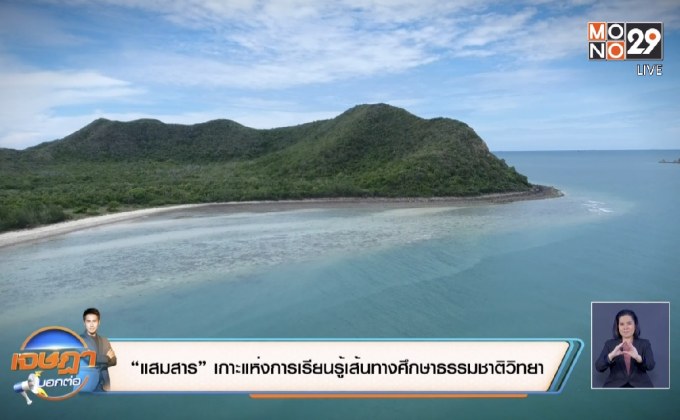 “แสมสาร” เกาะแห่งการเรียนรู้เส้นทางศึกษาธรรมชาติวิทยา