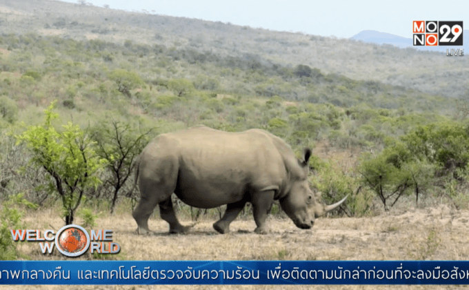 แอฟริกาใต้ใช้โดรนจัดการนักล่าสัตว์
