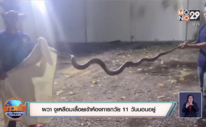 ผวา งูเหลือมเลื้อยเข้าห้องทารกวัย 11 วันนอนอยู่
