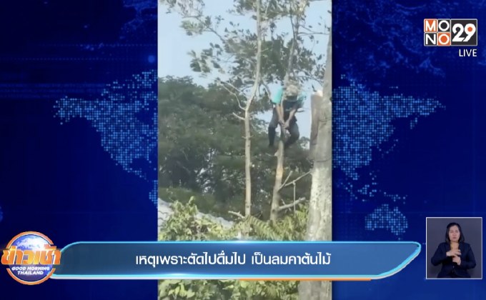 เหตุเพราะตัดไปดื่มไป เป็นลมคาต้นไม้