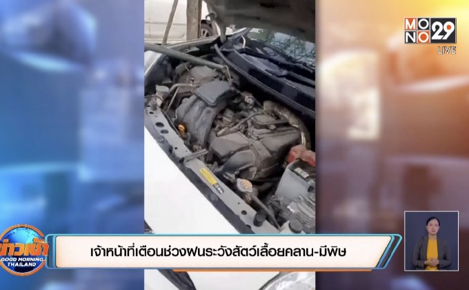 เจ้าหน้าที่เตือนช่วงฝนระวังสัตว์เลื้อยคลาน-มีพิษ