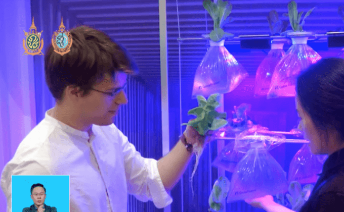 ปลูกผักไฮโดรโปนิกส์ในตู้ส่งของทางเรือ