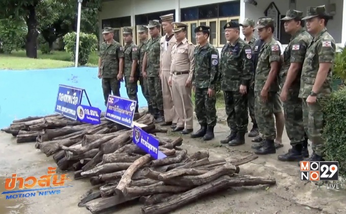 ตรวจยึดไม้พะยูงกว่า 200 ท่อน เตรียมส่งไปลาว