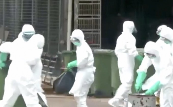 ไข้หวัดนก H5N1 ระบาดในฟาร์มไก่ที่จีน