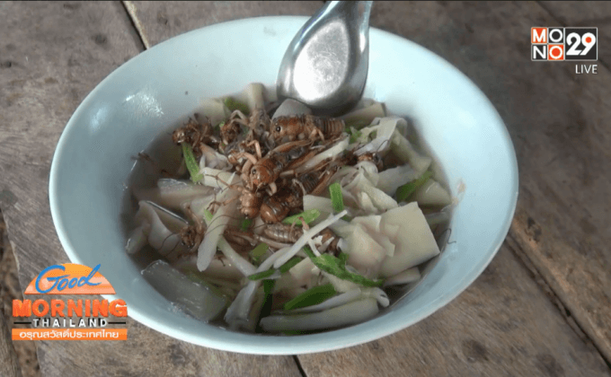 มหาสารคาม ชาวบ้านขุดจิโป่มทำอาหาร