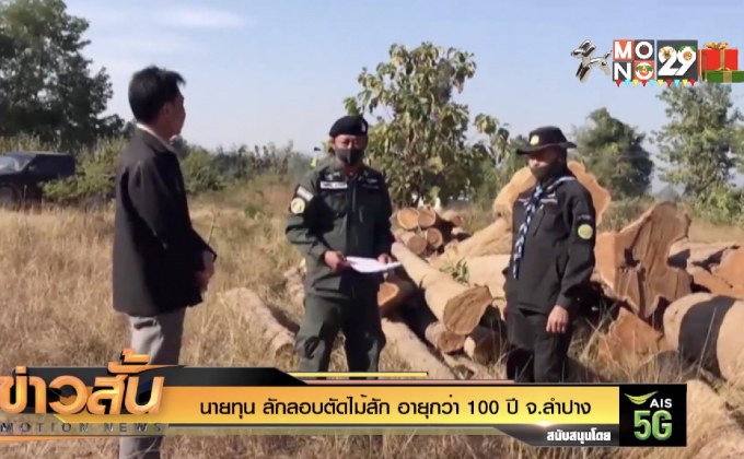 นายทุน ลักลอบตัดไม้สัก อายุกว่า 100 ปี จ.ลำปาง