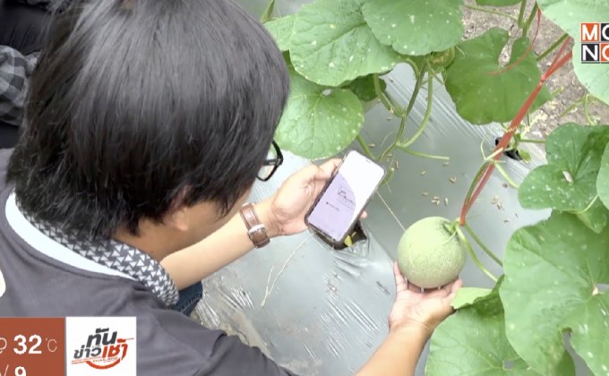 “โคโค่ เมล่อนฟาร์ม” ฟาร์มยุคใหม่กับการใช้ IOT