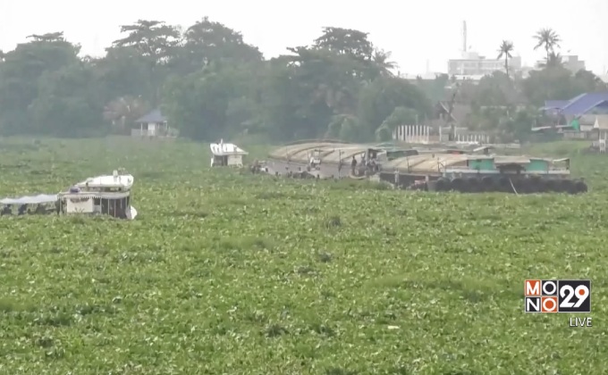 เจ็ทสกีติดผักตบชวาแม่น้ำท่าจีนนาน 5 ชม.