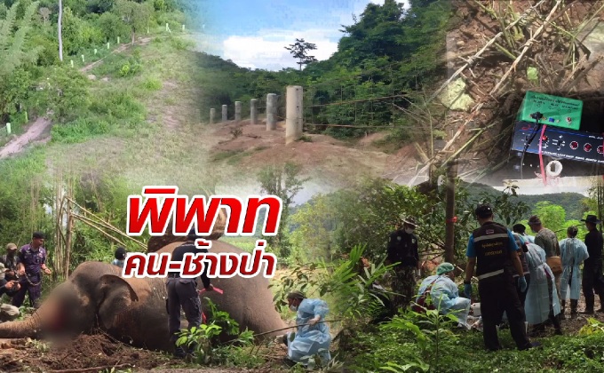 พิพาทคน-ช้างป่า