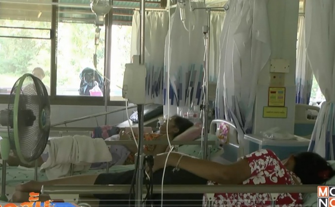 พบผู้ป่วยกว่า 30 คนหลังกินเห็ดปลวก จ.บึงกาฬ