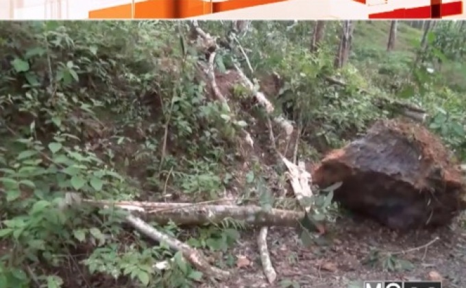 พัทลุงฝนตกหนักหินถล่มทับเส้นทาง
